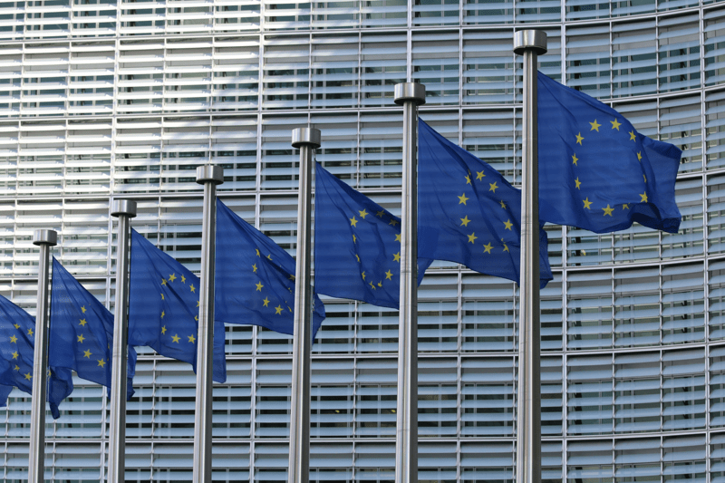 European Practice Director image